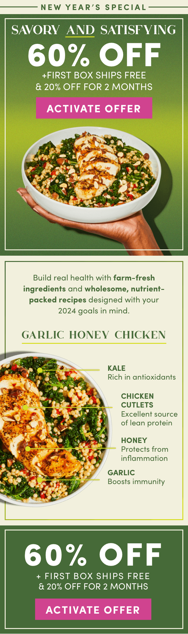 Build real health with wholesome, nutrient packed recipes designed with your 2024 goals in mind. Get 60% off + first box ships free + 20% off for 2 months.