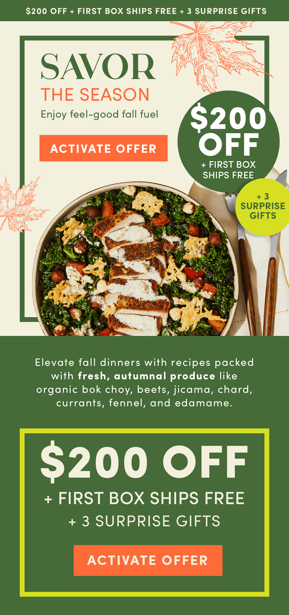 Elevate fall dinners with recipes packed with fresh, autumnal produce. Get $200 off + 3 surprise gifts now! 