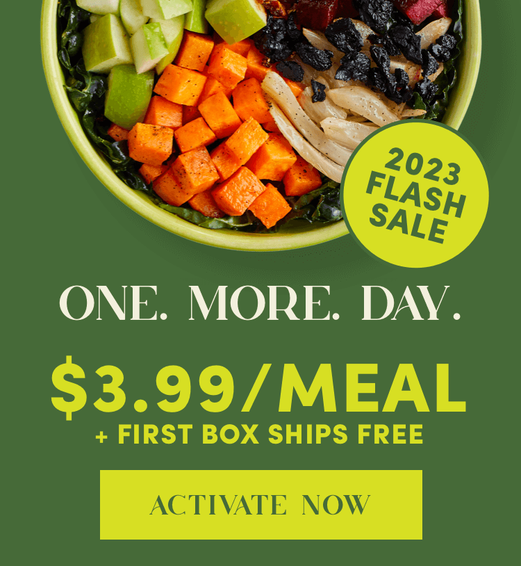2023 Flash Sale - ONE MORE DAY -  $3.99/Meal + First Box Ships Free | Activate Now 