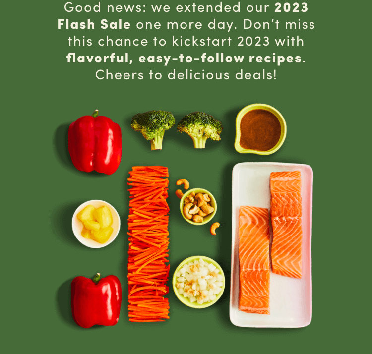 Good news: we extended our 2023 Flash Sale one more day!